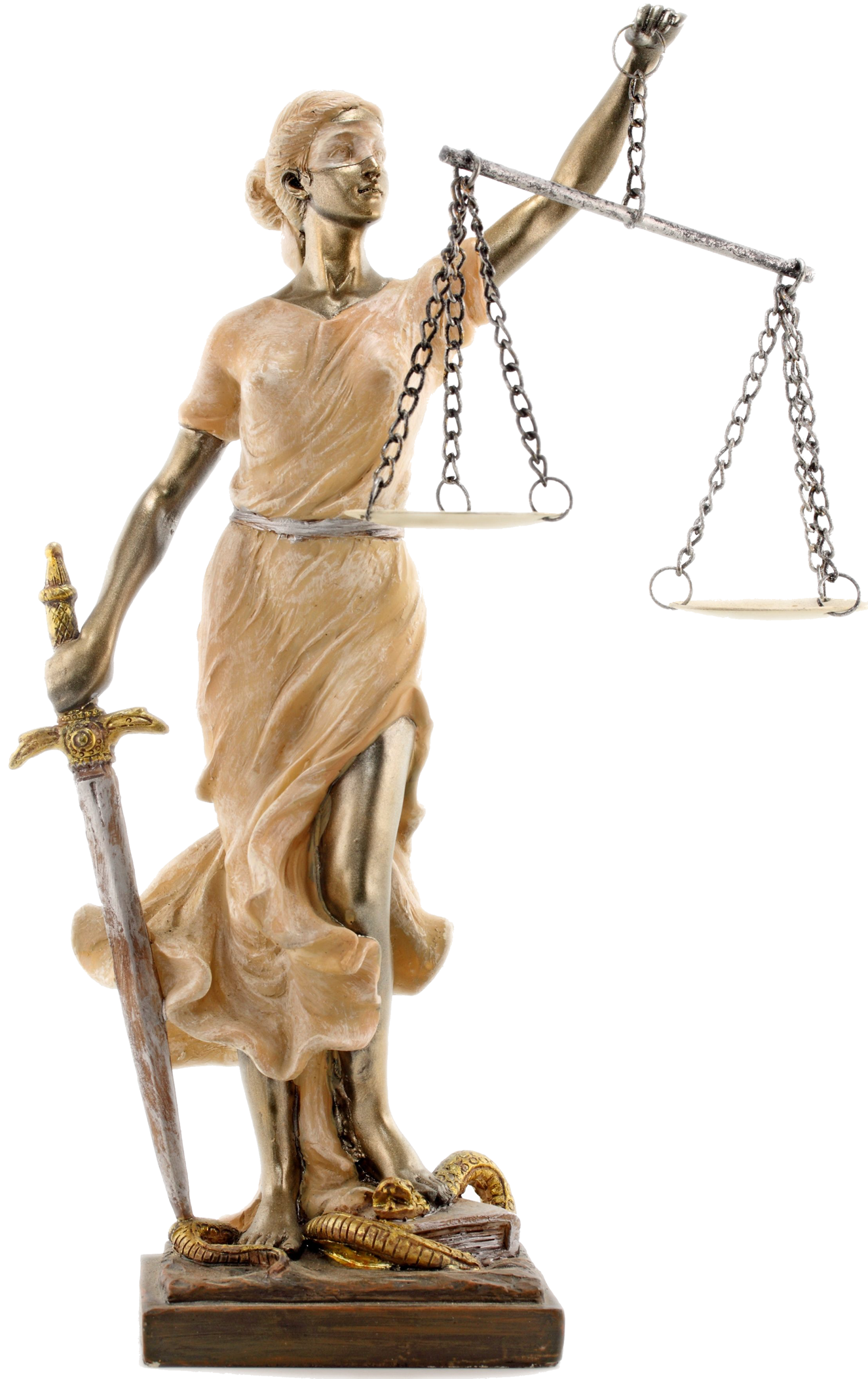 Lawyer Transparent PNG Image