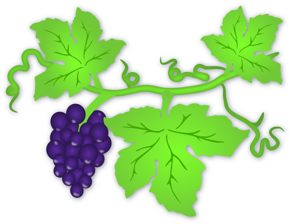 Grape Vine Leaf Art Transparent PNG Image