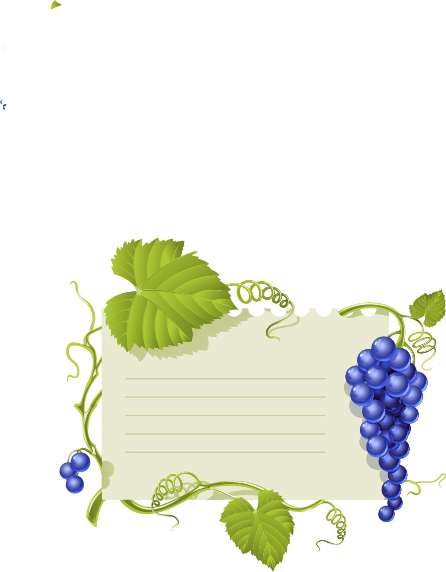 Vine Leaf Grape Bunch Transparent PNG Image