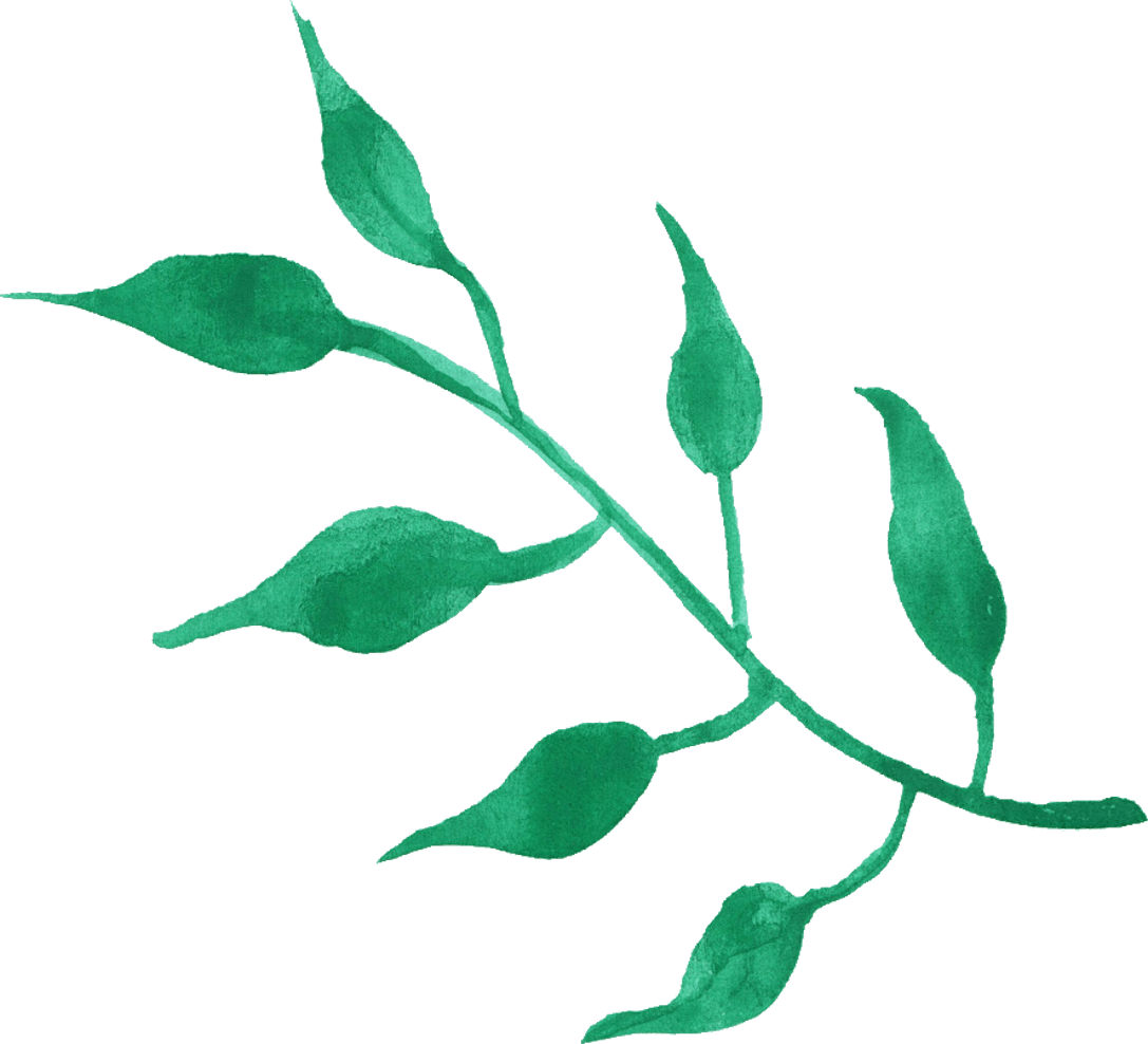 Fresh Green Leafs Transparent PNG Image