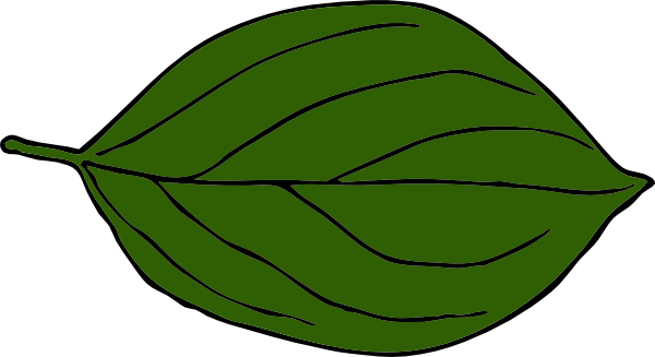 Fresh Green Leafs Transparent PNG Image