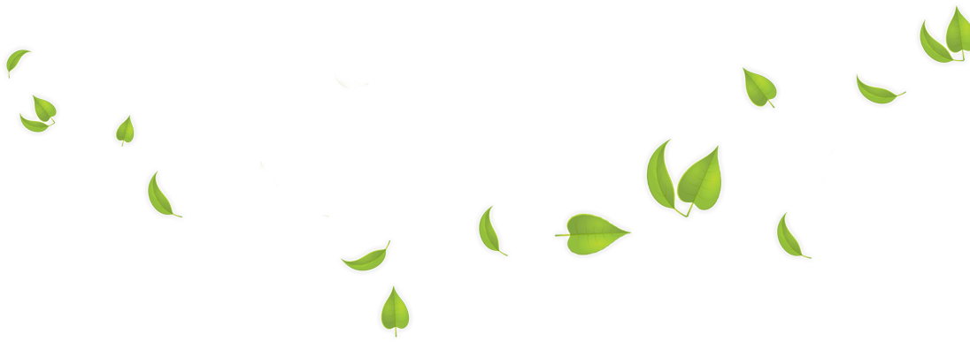 Fresh Green Leafs Transparent PNG Image