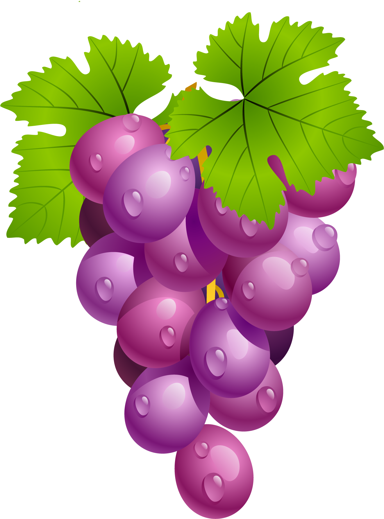 Vine Leaf Grape Transparent PNG Image