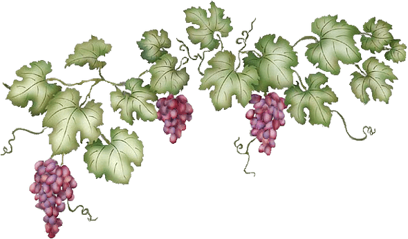 Vine Leaf Grape Transparent PNG Image