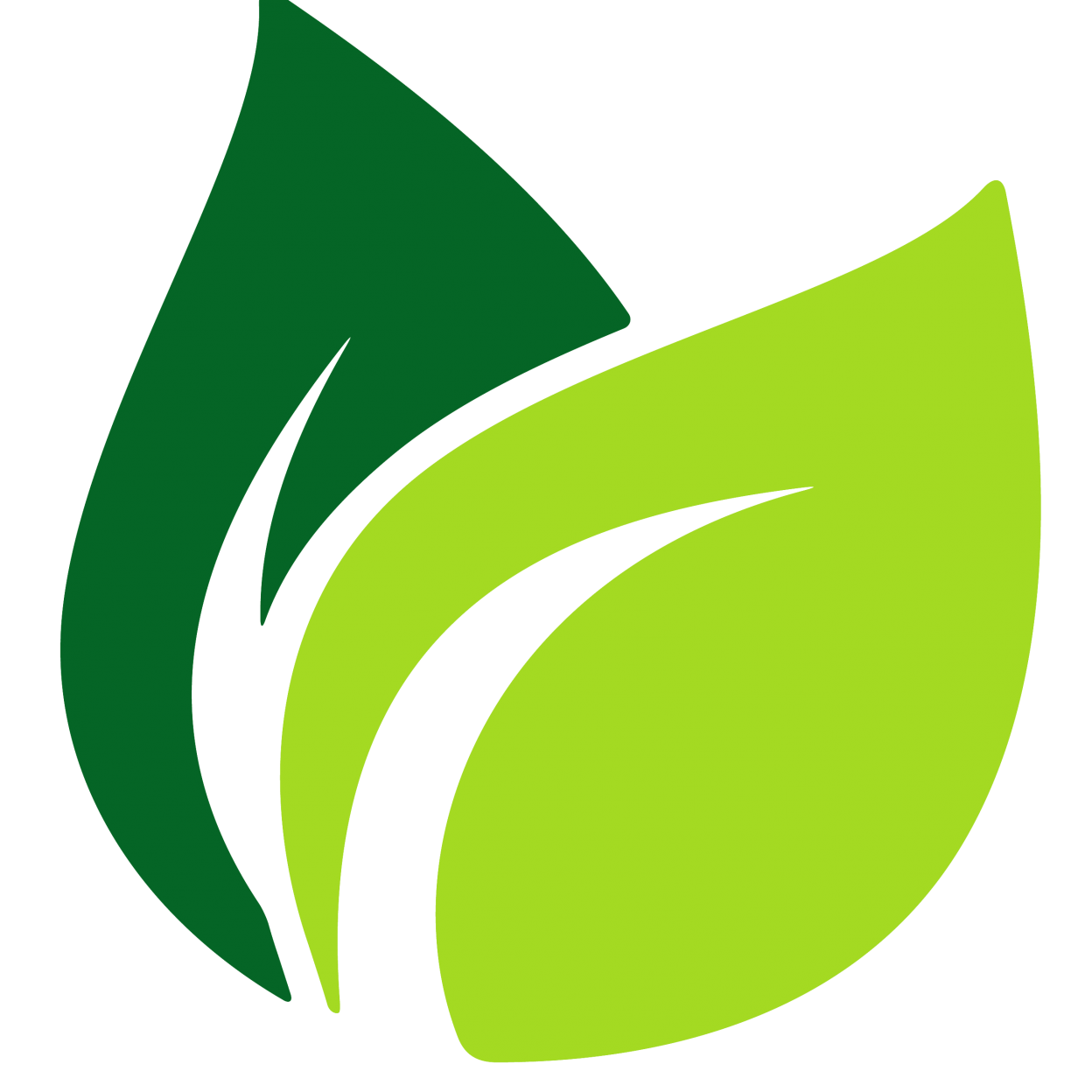 Vector Green Leafs Transparent PNG Image