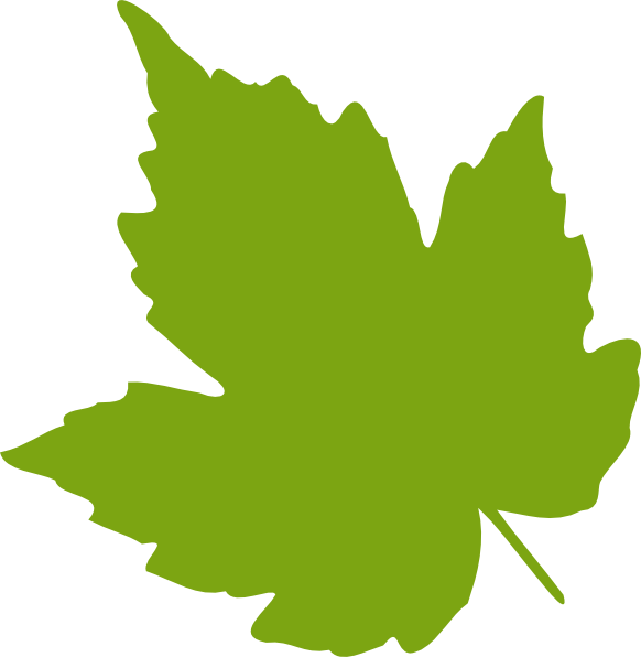 Vector Green Leafs Transparent PNG Image
