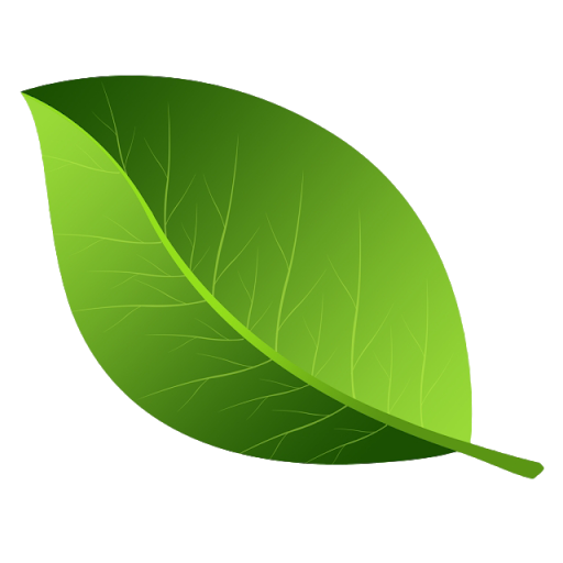Vector Green Leafs Transparent PNG Image