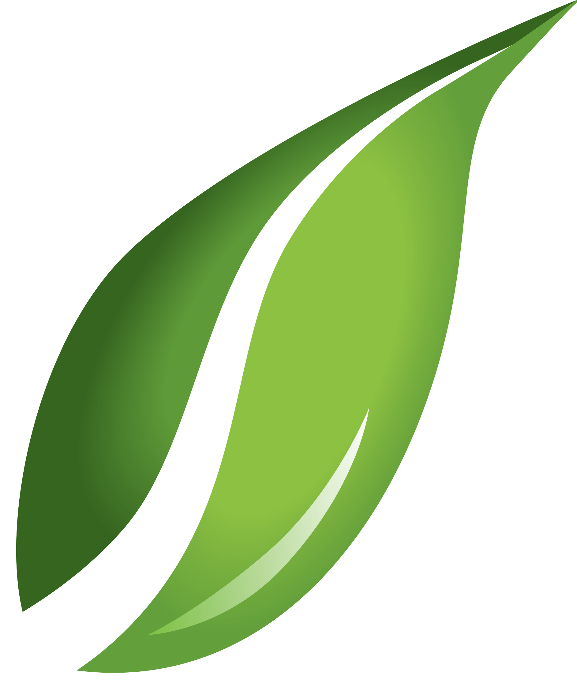 Leaf Background Transparent PNG Image
