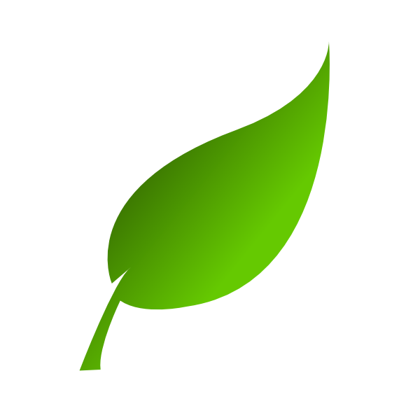 Green Leaf Transparent PNG Image