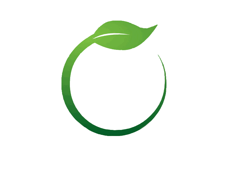 Green Leaf Transparent PNG Image