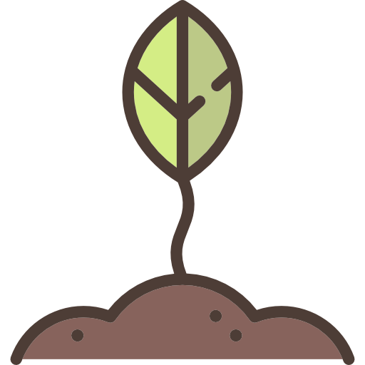 Growing Plant Transparent PNG Image