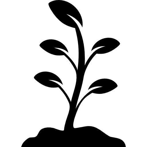 Growing Plant Transparent PNG Image