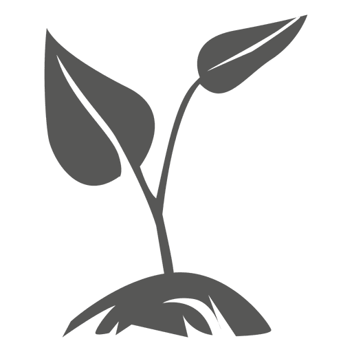Growing Plant Transparent PNG Image