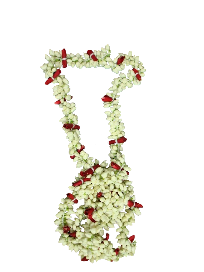 Jasmine Garland Transparent PNG Image