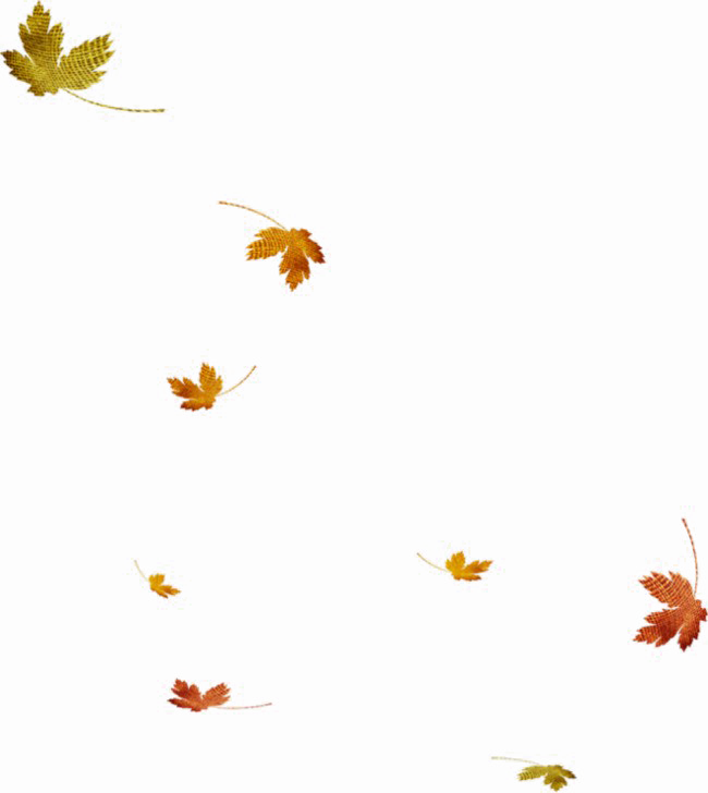 Falling Leaf Transparent PNG Image