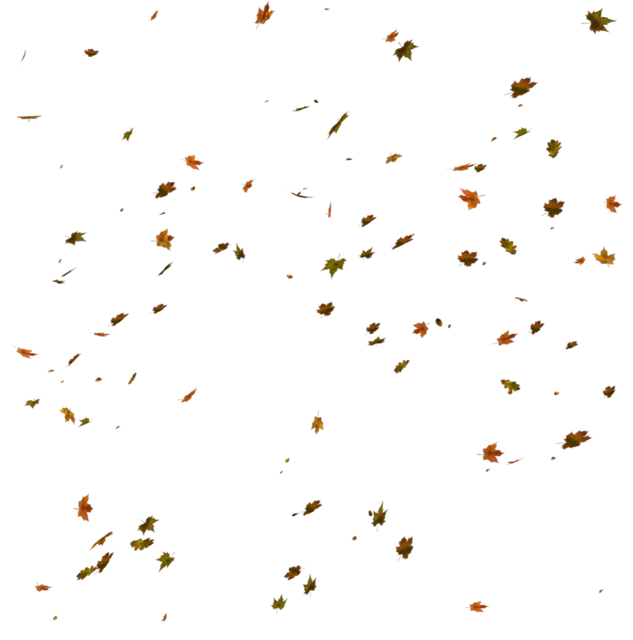 Falling Leaf Transparent PNG Image