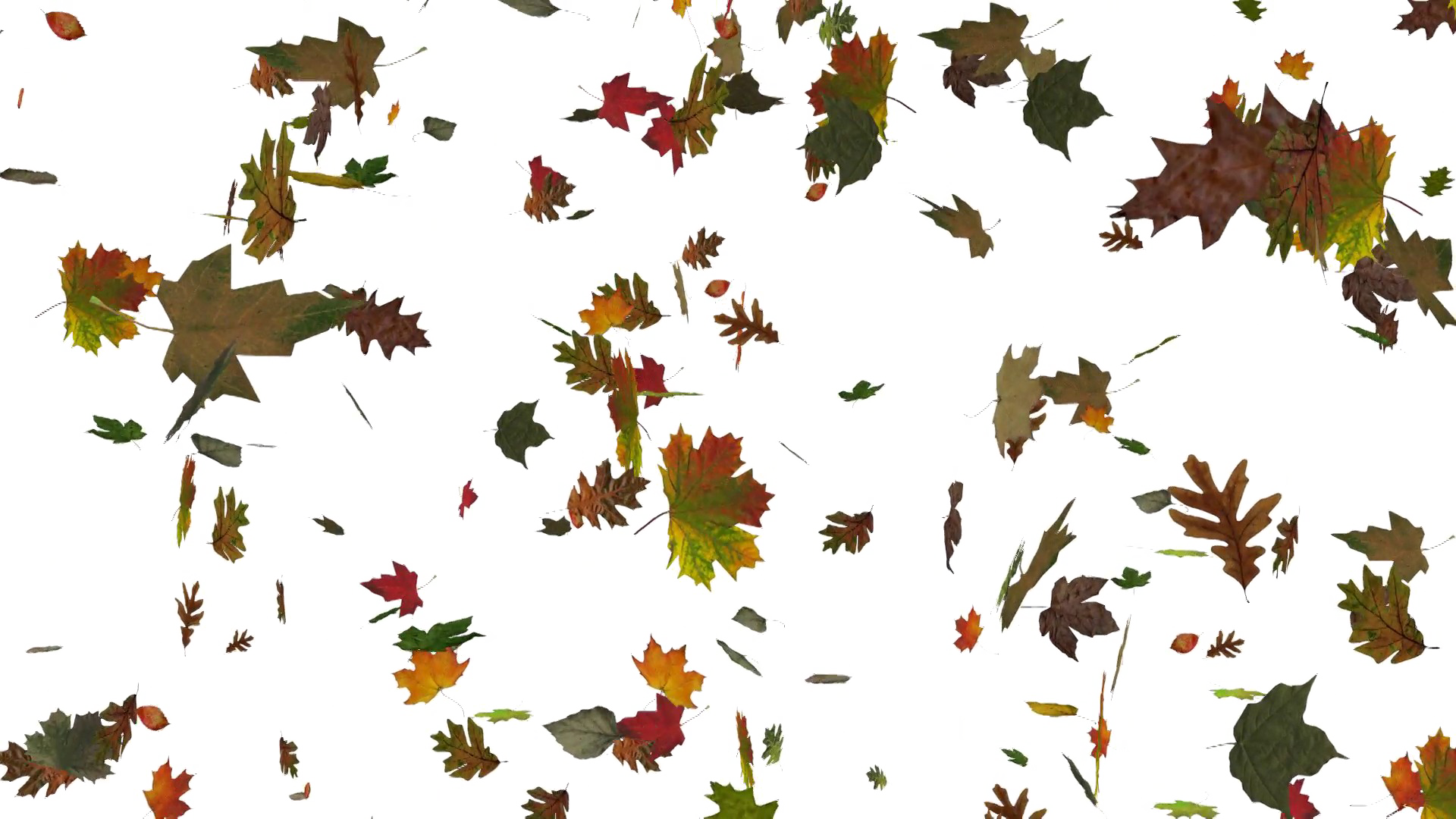 Falling Leaf Transparent PNG Image