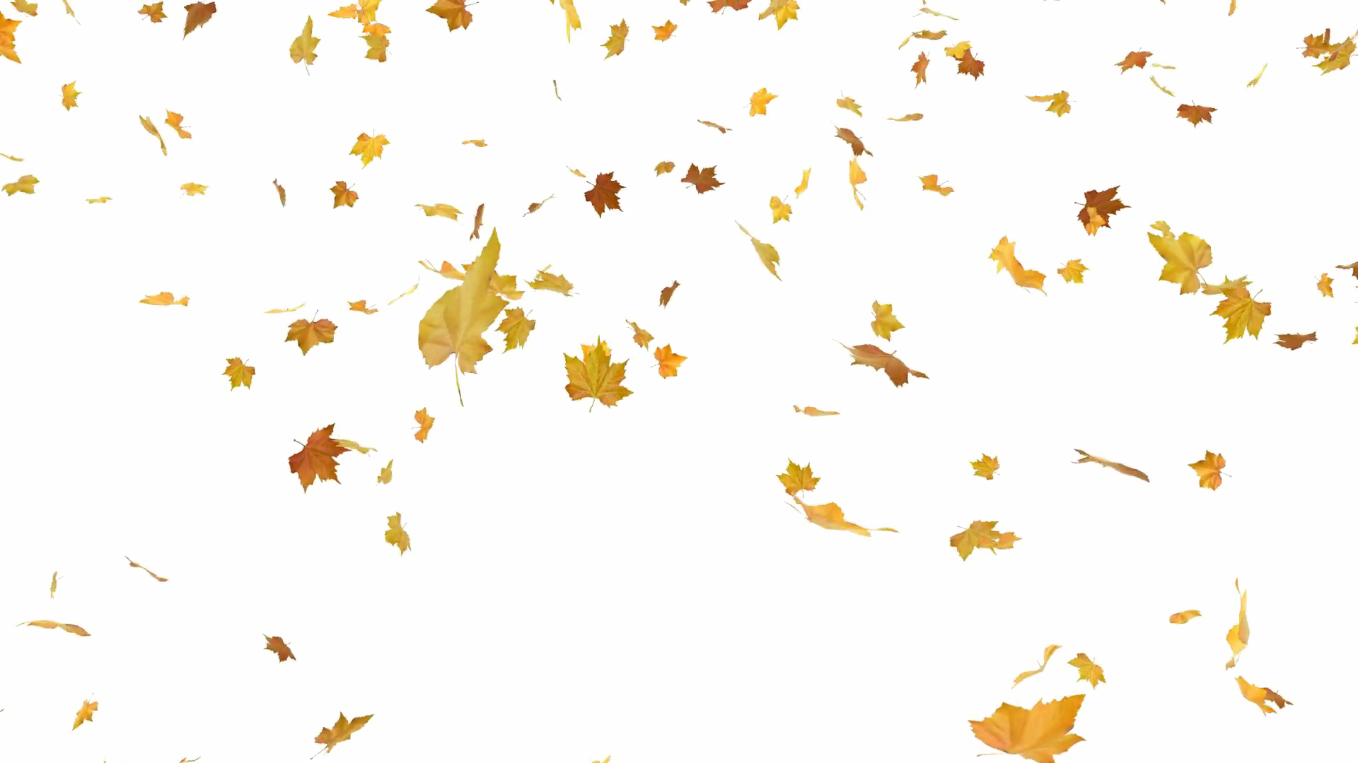 Falling Leaf Transparent PNG Image
