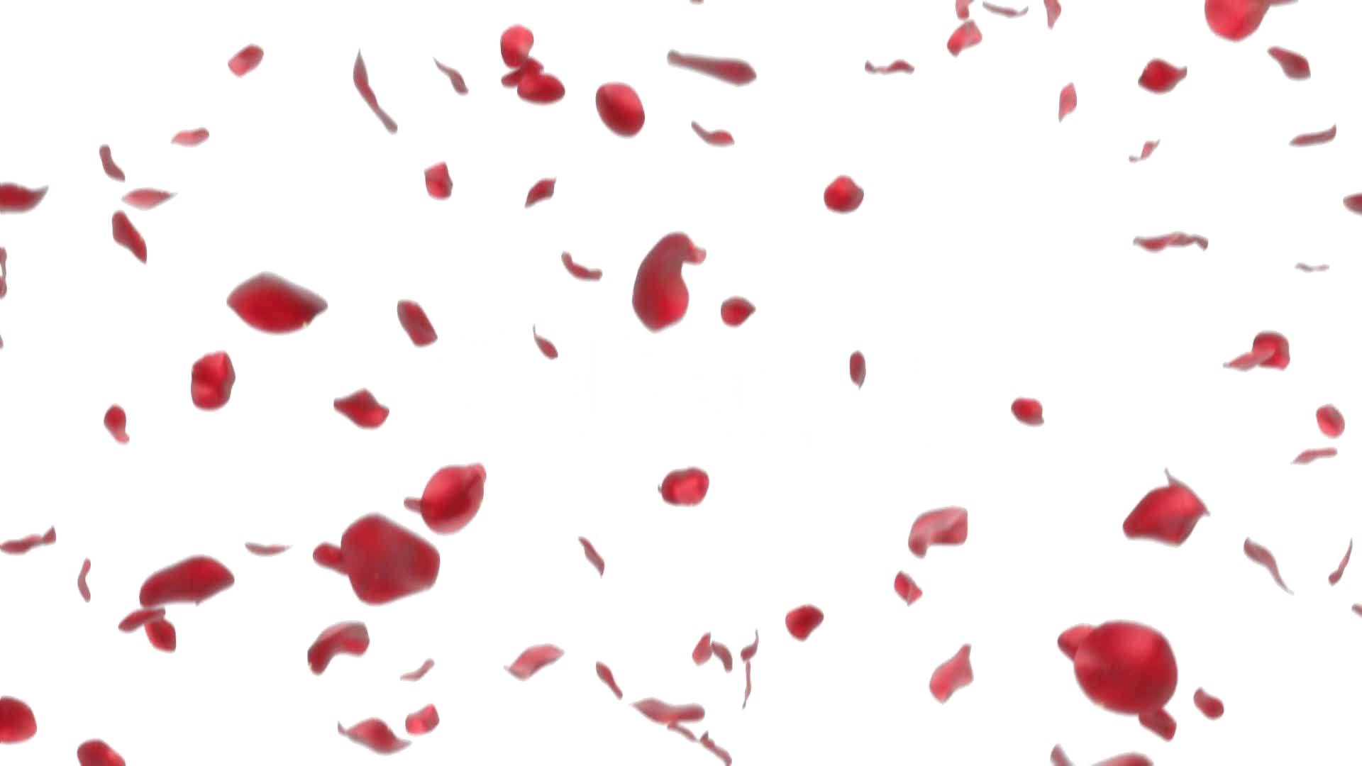 Falling Petals Transparent PNG Image