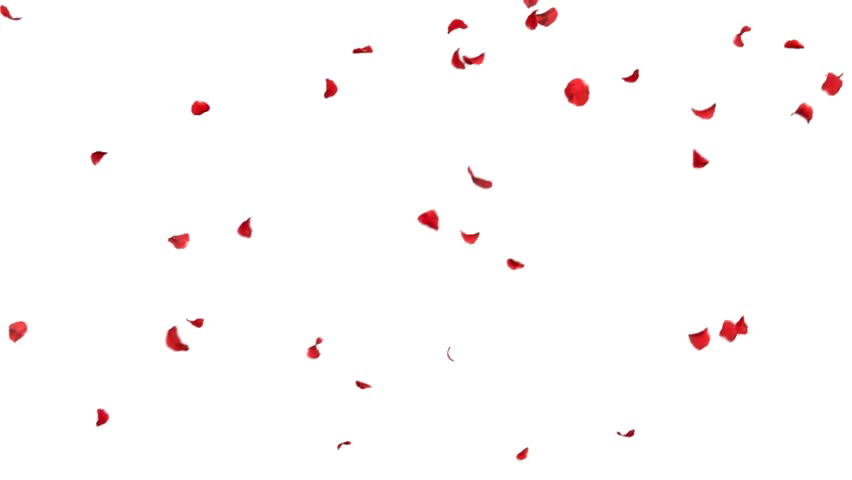 Falling Petals Transparent PNG Image