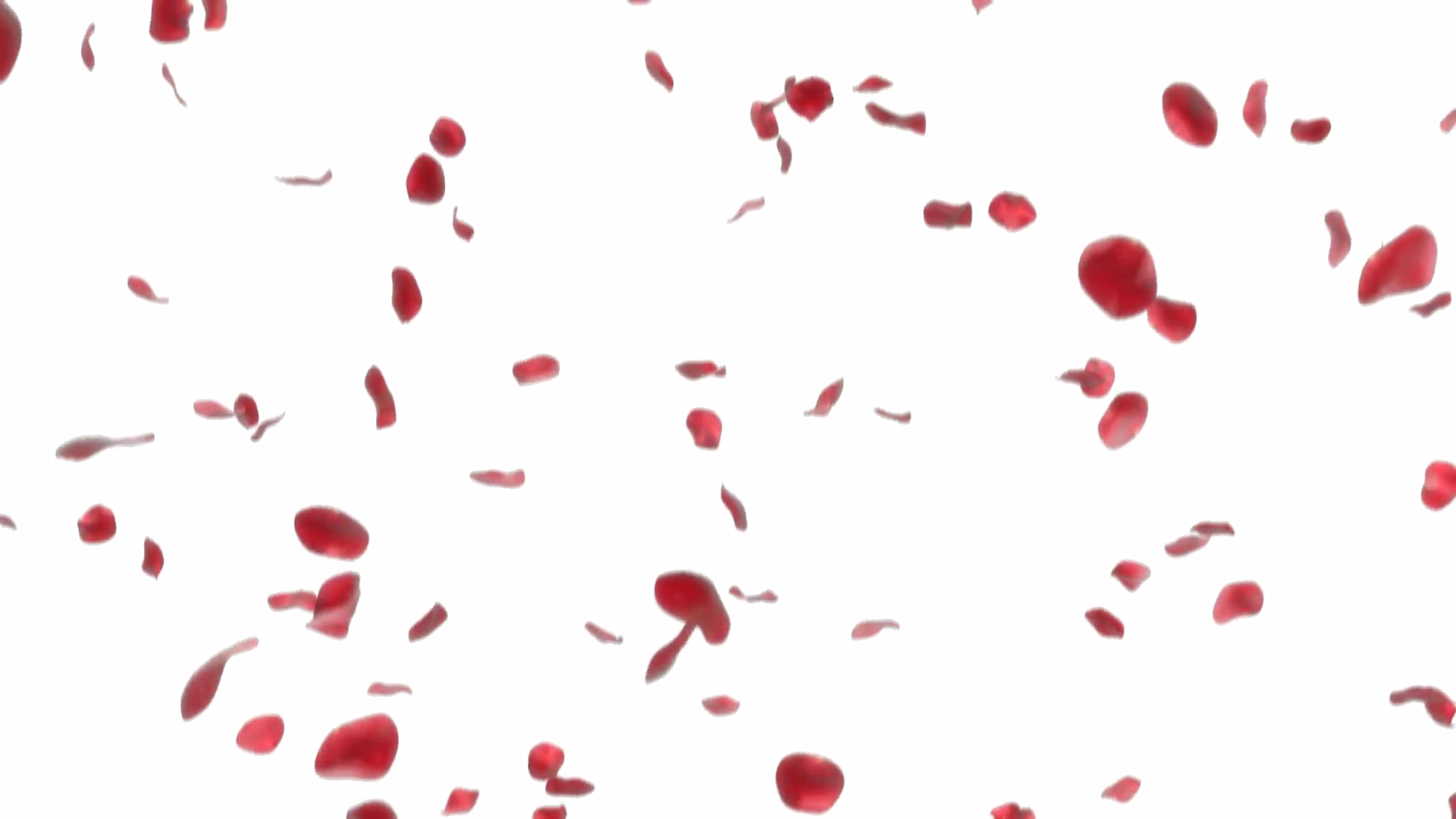 Falling Petals Transparent PNG Image