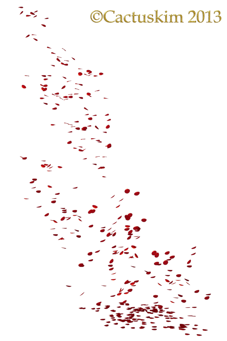 Falling Petals Transparent PNG Image