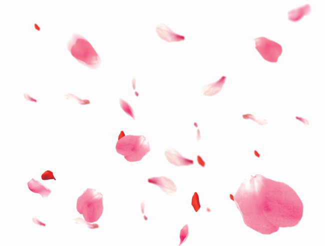 Falling Petals Transparent PNG Image