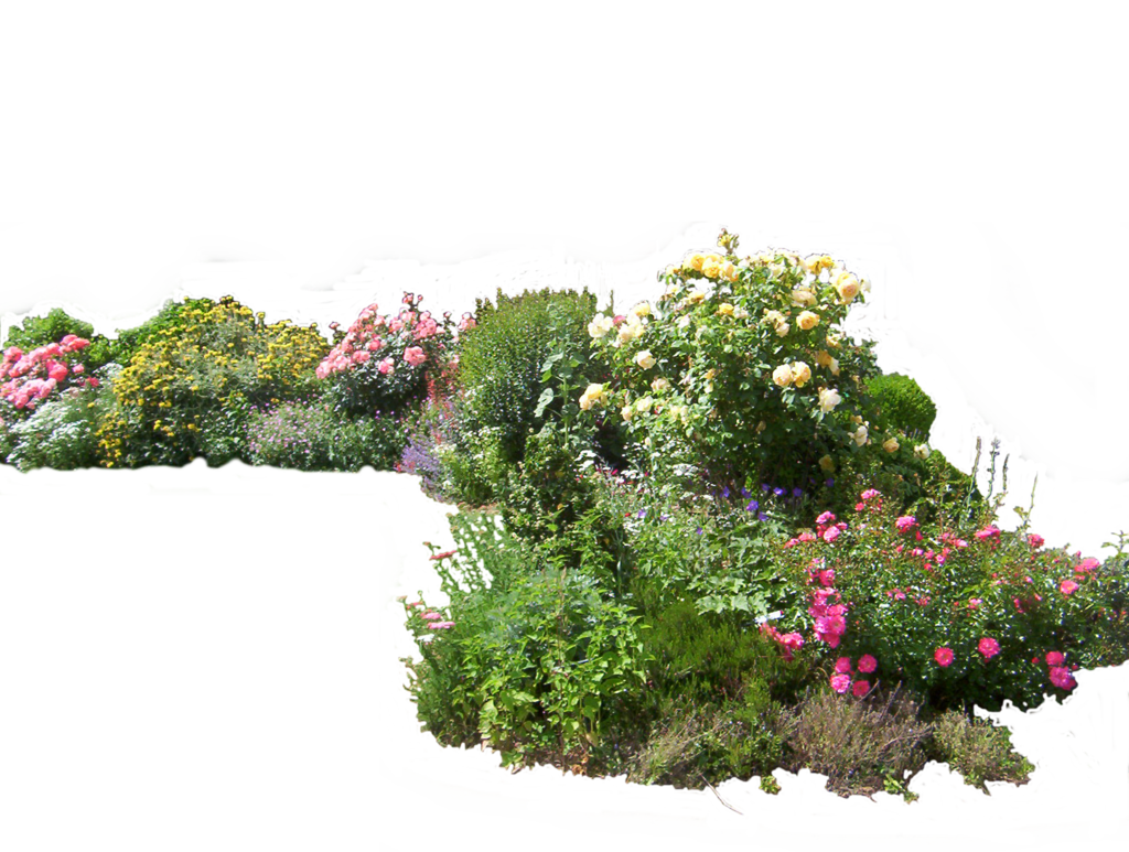 Gardening Transparent PNG Image