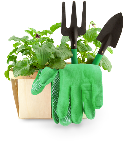 Gardening Transparent PNG Image