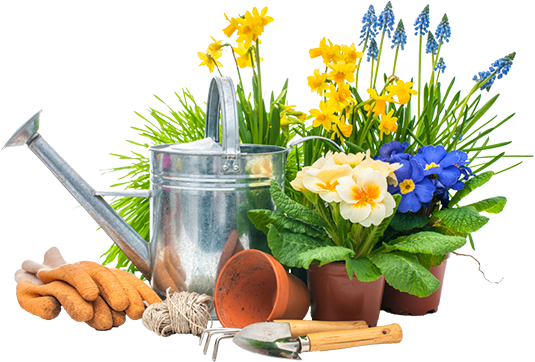 Gardening Transparent PNG Image