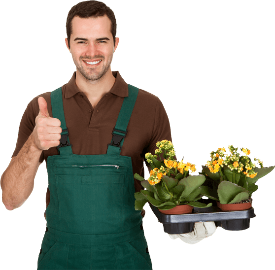 Gardening File Transparent PNG Image