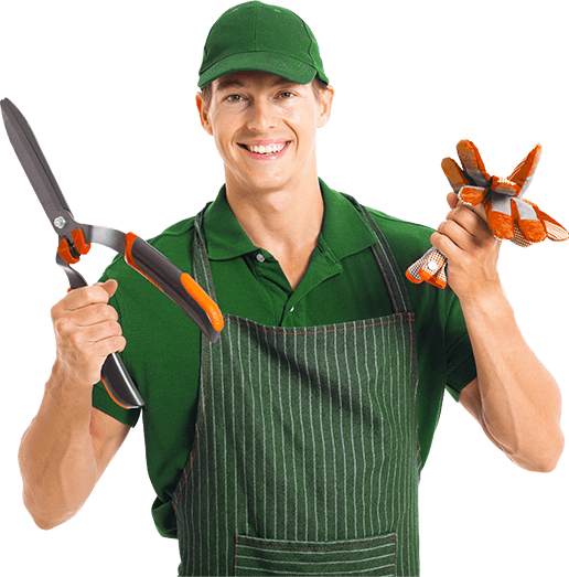 Gardening Transparent PNG Image
