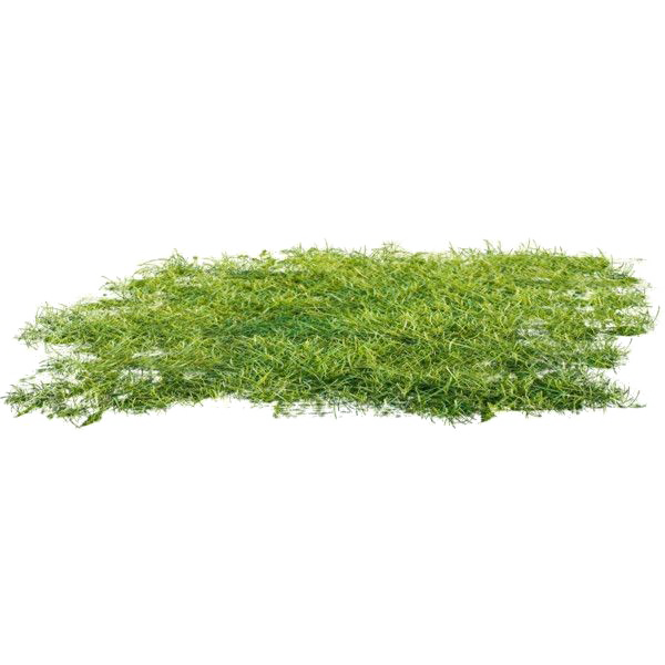 Ground Transparent PNG Image