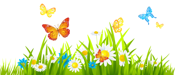 Ground Transparent PNG Image