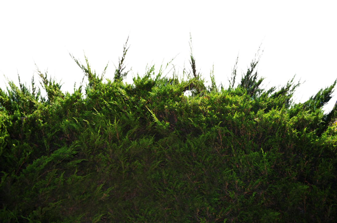 Ground Transparent PNG Image