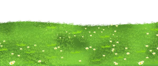 Ground Transparent PNG Image