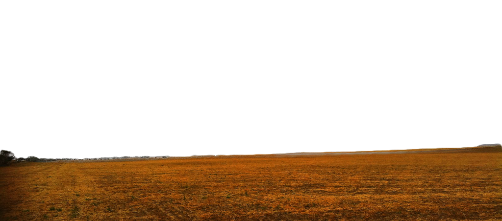 Ground Transparent PNG Image