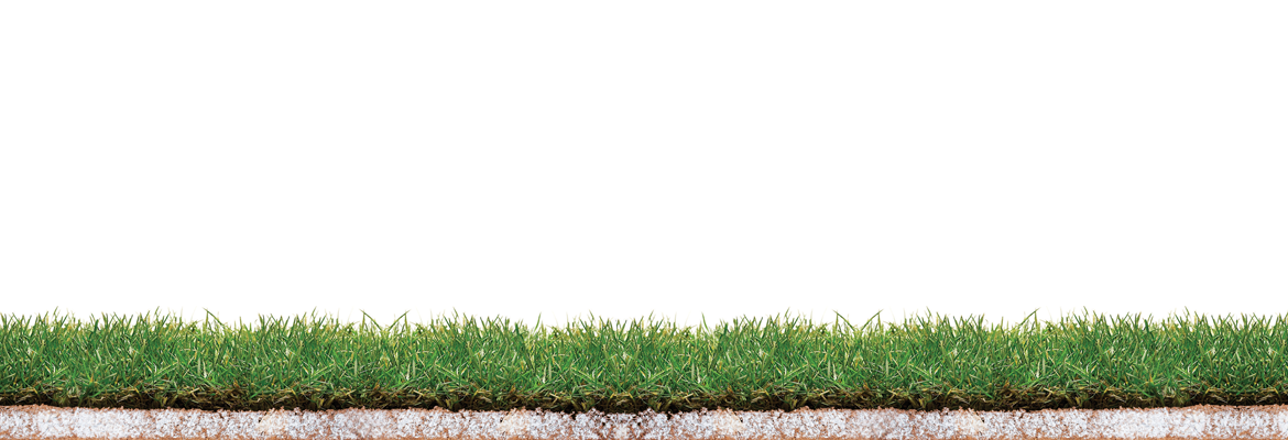 Ground Transparent PNG Image