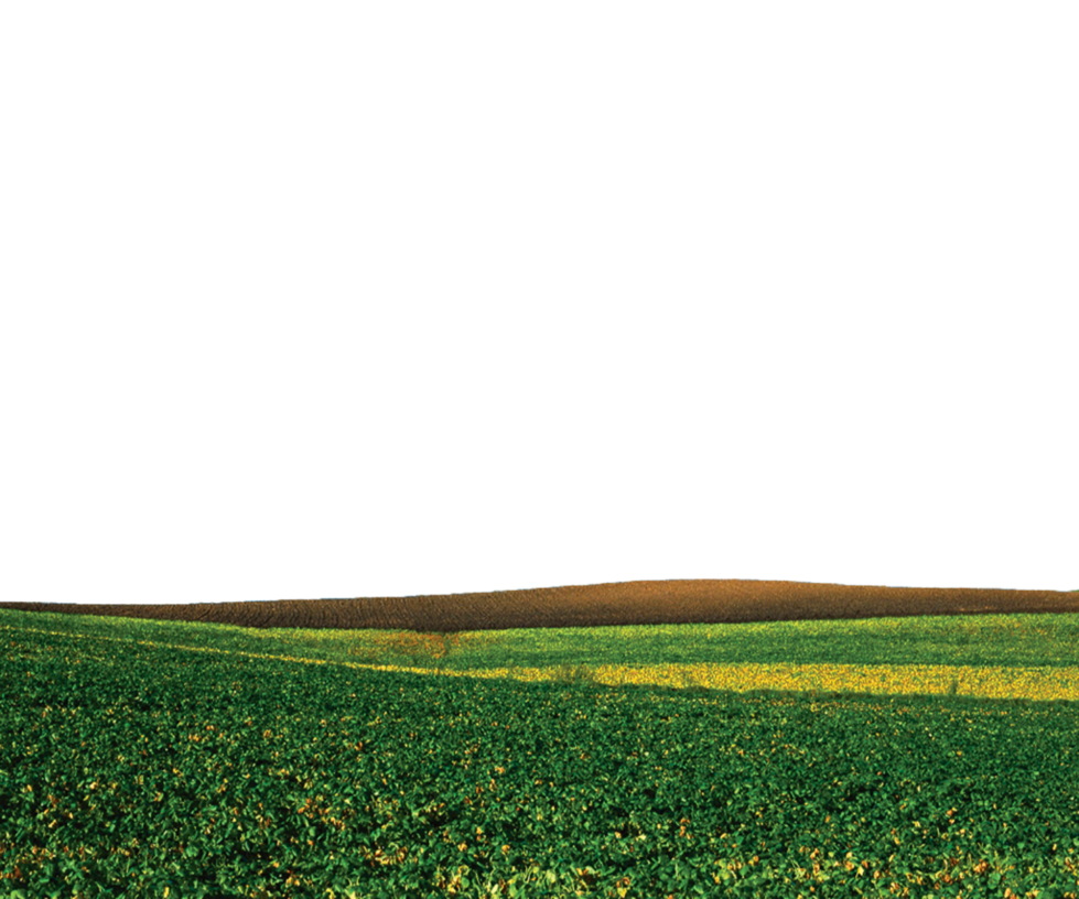 Ground Transparent PNG Image