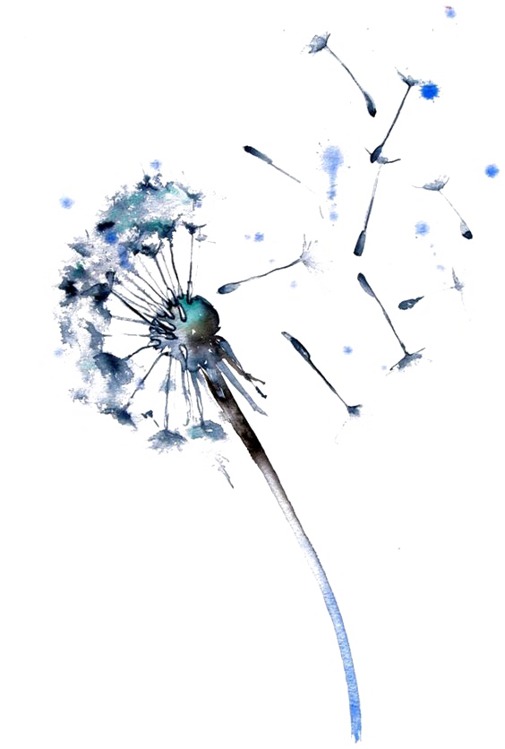 Colored Dandelion Transparent PNG Image