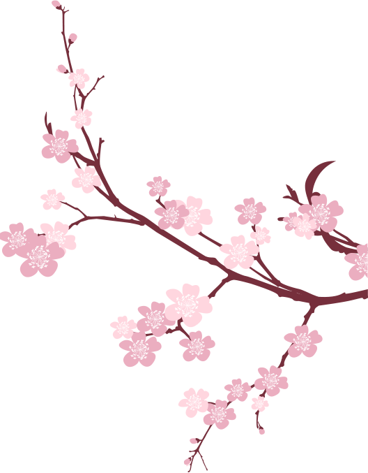 Japanese Flowering Cherry Transparent PNG Image