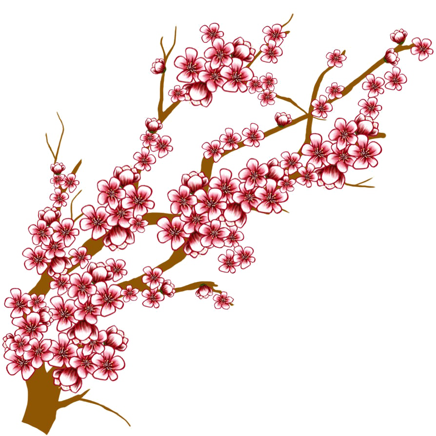 Japanese Flowering Cherry Transparent PNG Image