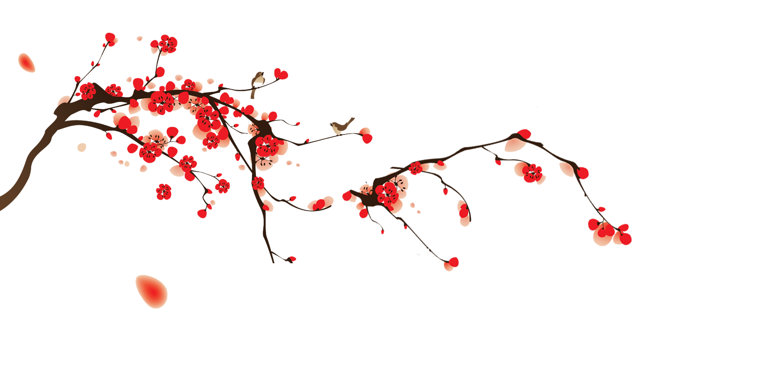 Japanese Flowering Cherry Transparent PNG Image