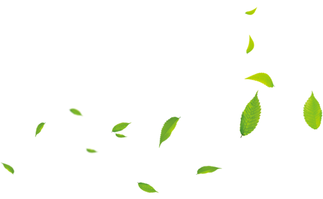 Small Leaves Green Cartoon Transparent PNG Image