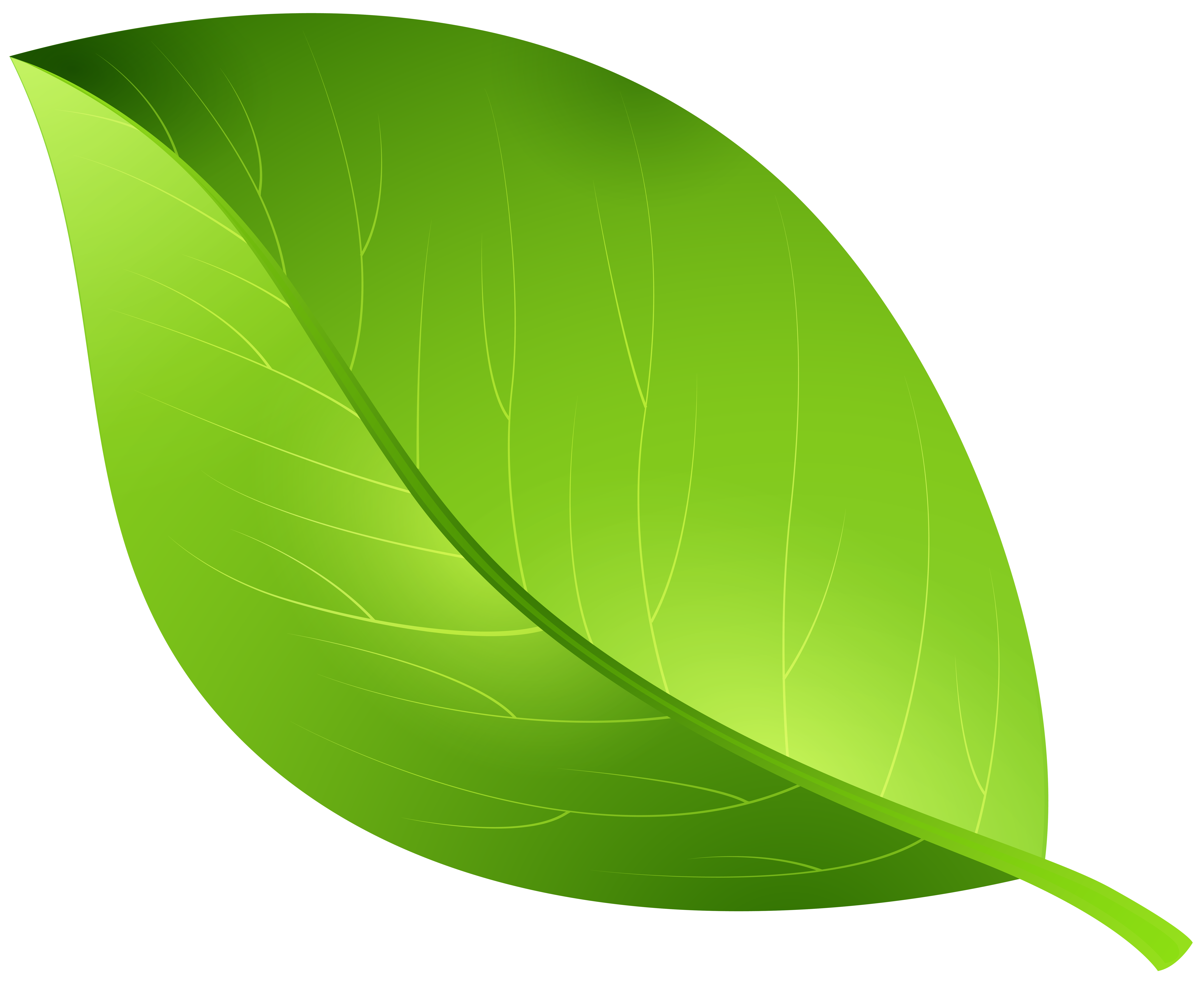 Leaf Green Cartoon Transparent PNG Image