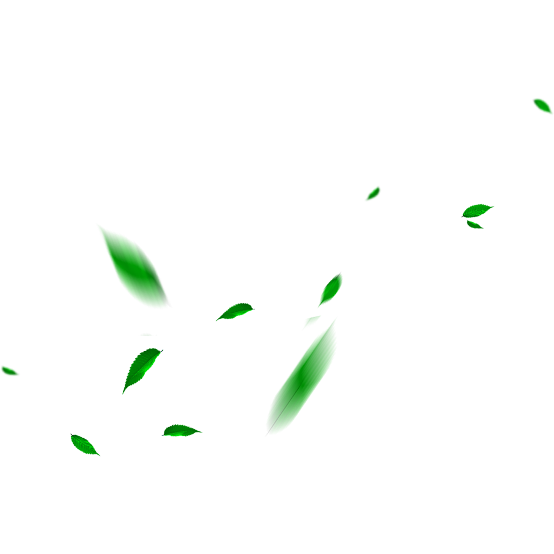 Leaf Falling Green Leaves Maple Transparent PNG Image