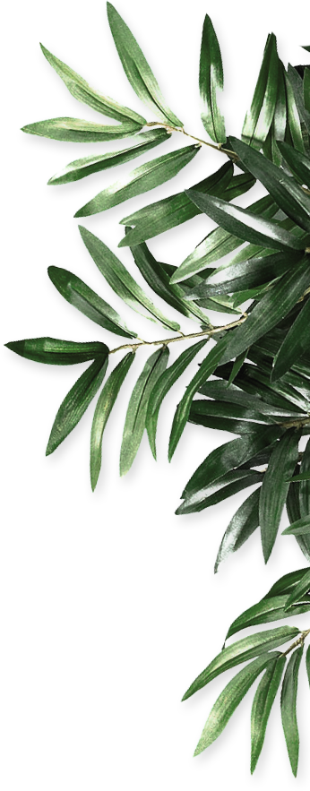 Be Organics Leaf Natural Android Transparent PNG Image