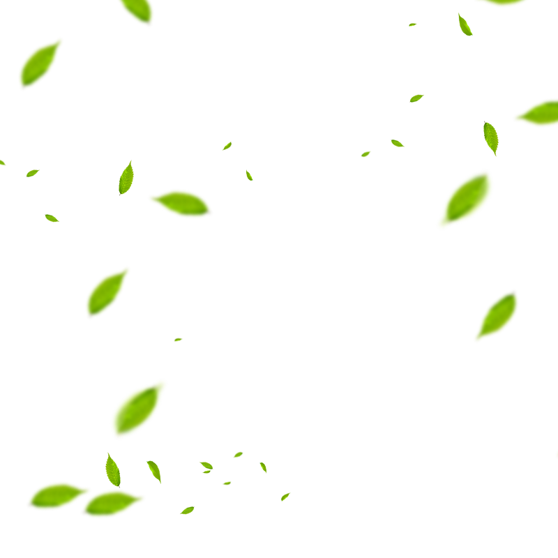 Fly Euclidean Material Vector Leaf Transparent PNG Image