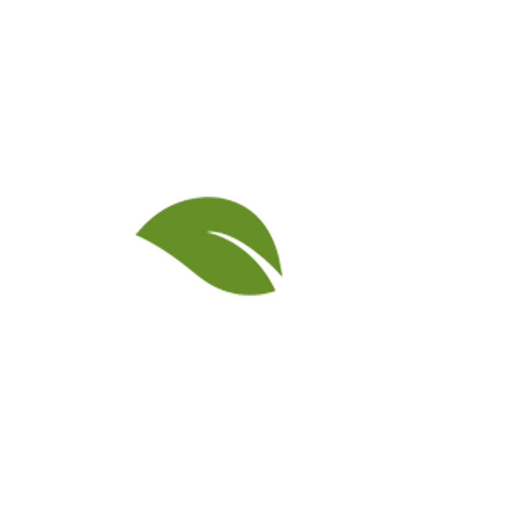 Euclidean Leaf,Vector Vector Leaf Transparent PNG Image