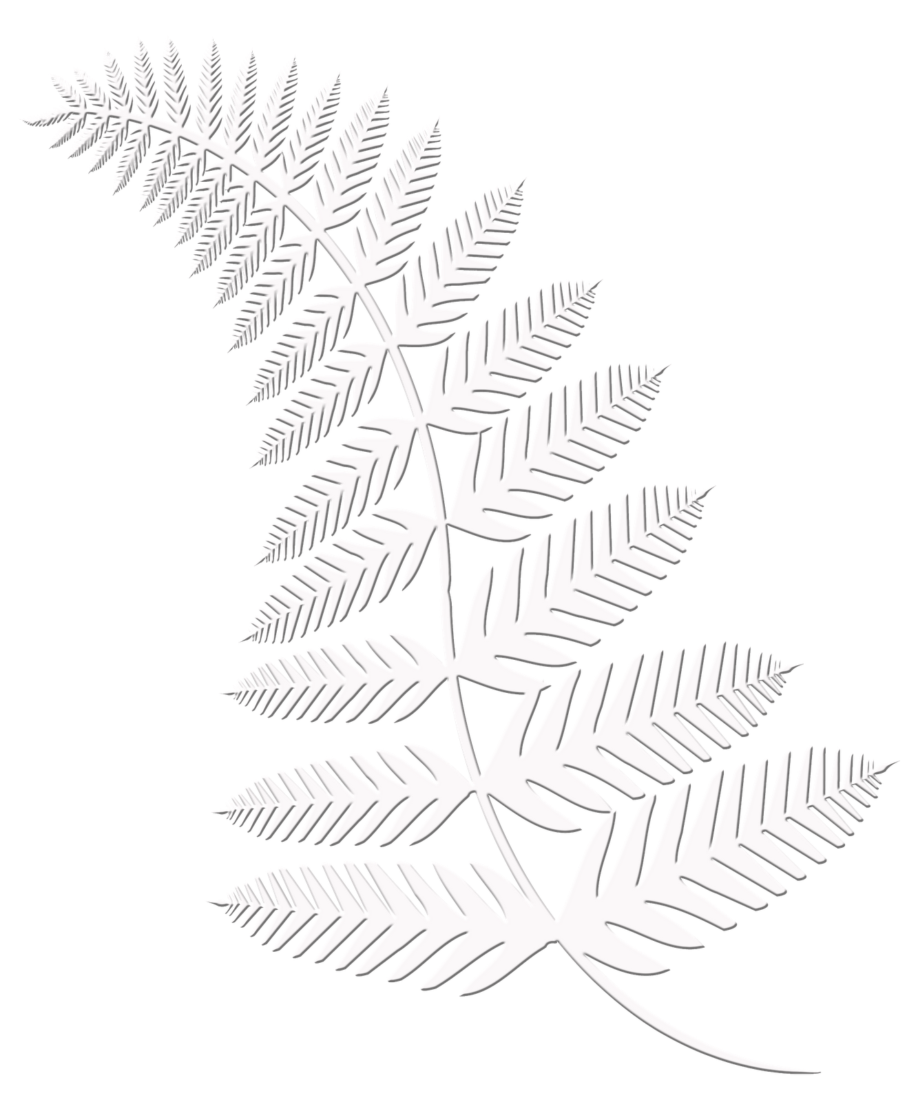 Pattern Line Leaf Angle Symmetry Transparent PNG Image